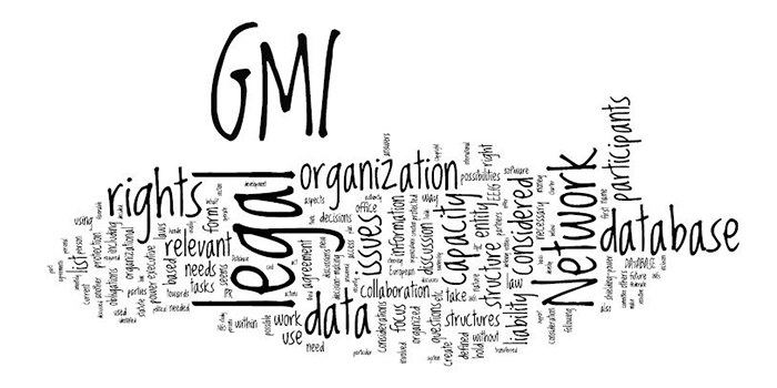 GMI legal aspects
