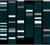 DNA profile indicator marks