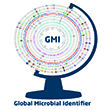 GMI logo