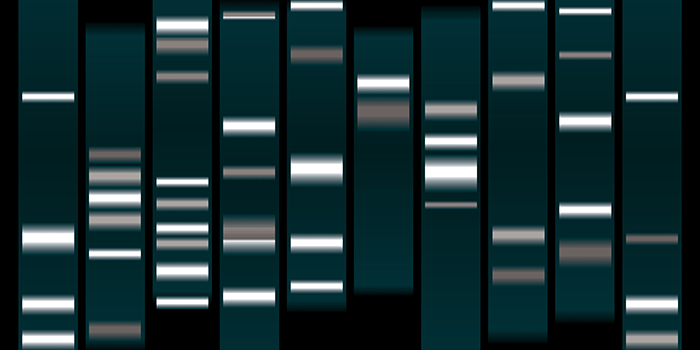DNA profile indicator marks