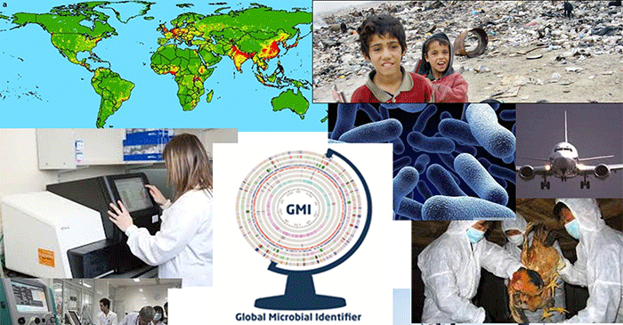Provide pictures for the GMI website
