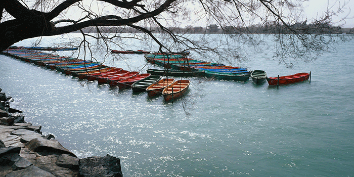 By the Summer Palace