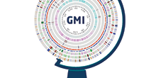 GMI logo